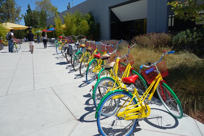 ant-and-katydid-jandi-blog-02